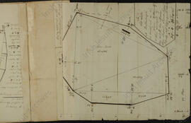 The Old Lake at Ballinlough