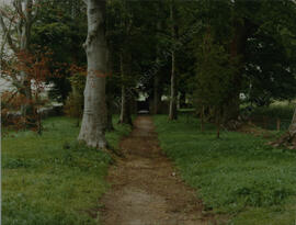 Tullabeg graveyard 1991 (8)