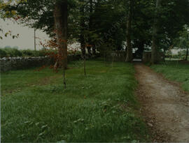 Tullabeg graveyard 1991 (10)