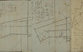 College Bog West of Clara Road