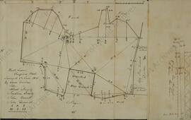 Back Lawn Clongowes Wood