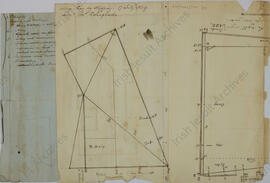 College Bog by stepping