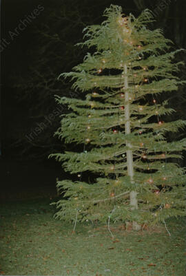 Jesuit House Tullabeg 1991 (8)