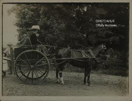 Photograph of Constance Lamb and Francis Lamb on a horse cart.