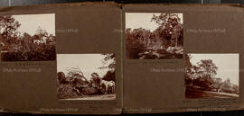 Album 3, Page 08 and 09