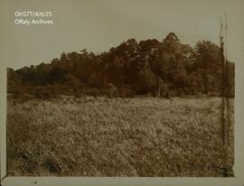 Photograph of a field at Woodfield.