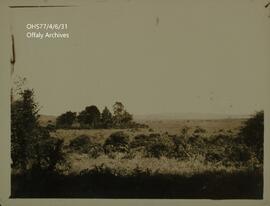 Photograph of Woodfield Bog.