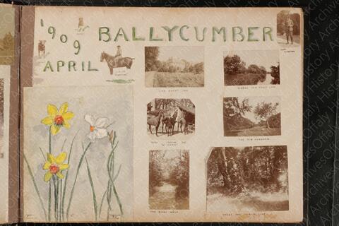 Open original Digital object