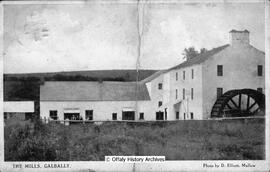 Postcard from Séamus Ó Braonáin at Irish Volunteer Camp in Galbally to his wife, Máiréad