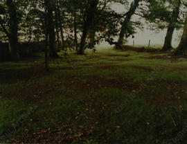Tullabeg graveyard 1991 (6)