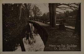Postcard of a path by the River Dodder.